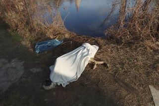 Kdo v Ostravě trýznivě usmrtil psa? Možná jste sadistu viděli. Pomozte policii
